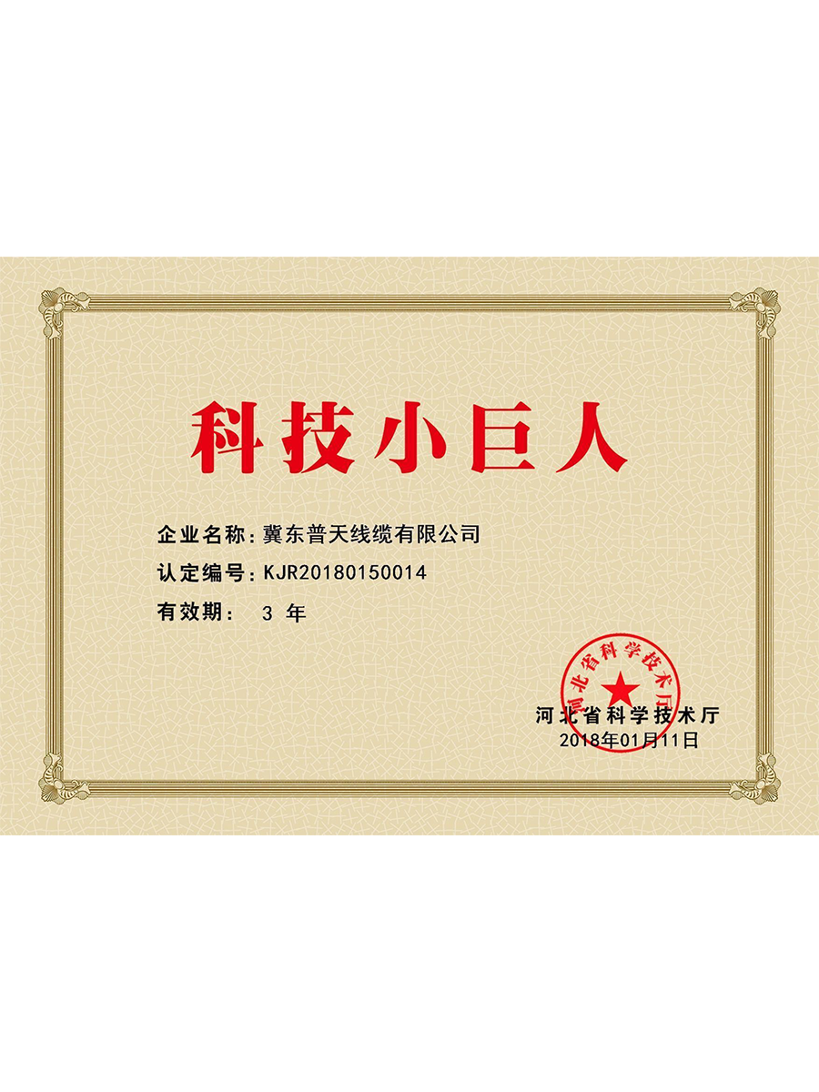 科技小巨人.png