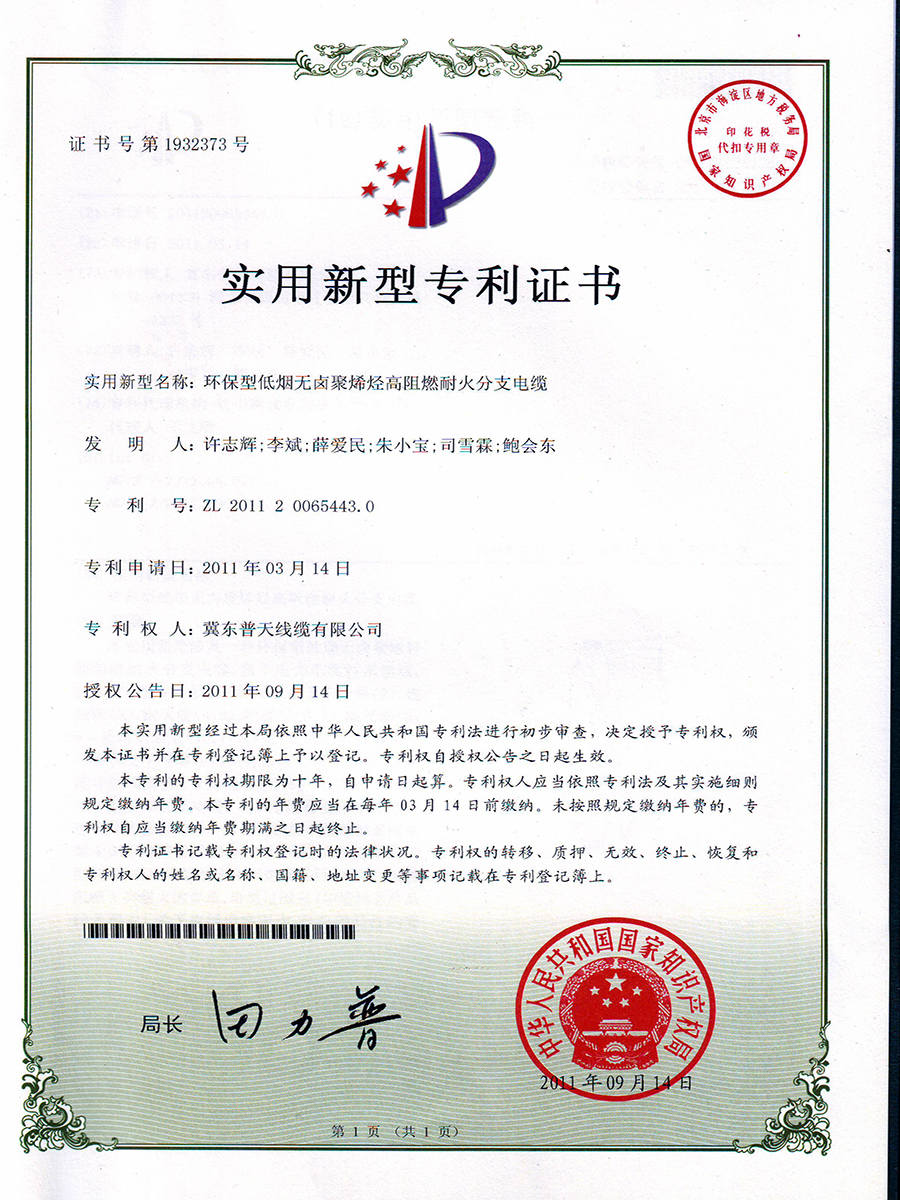 分支电缆.JPG